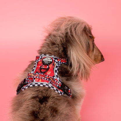 Cars: No Pull Adventure Harness