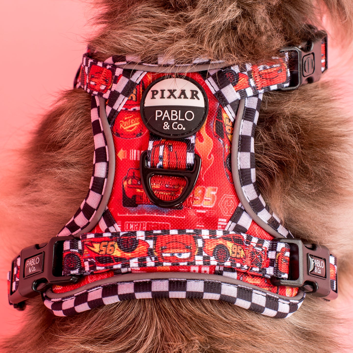Cars: No Pull Adventure Harness