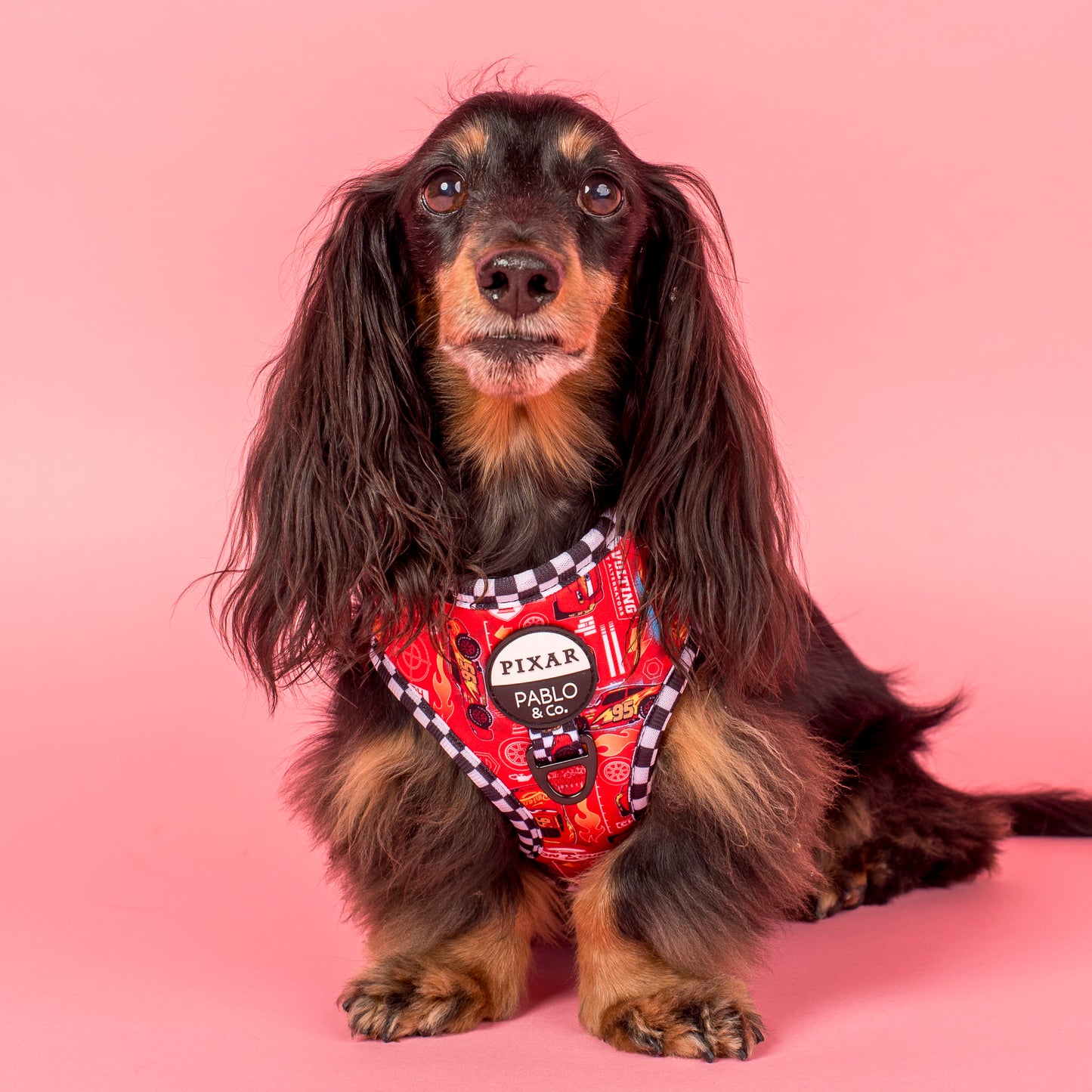 Cars: Adjustable Harness