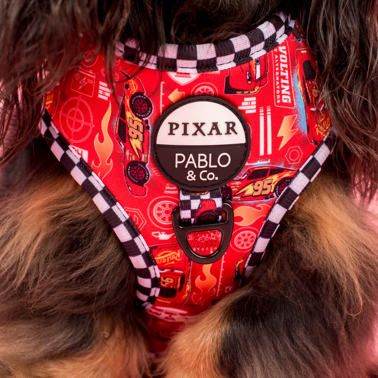 Cars: Adjustable Harness