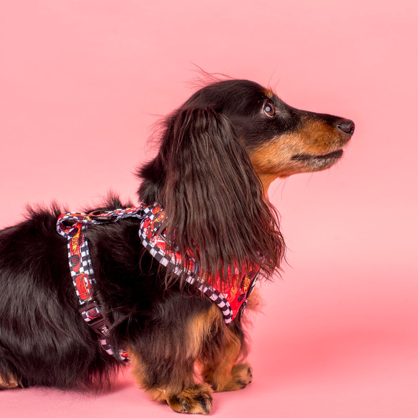 Cars: Adjustable Harness