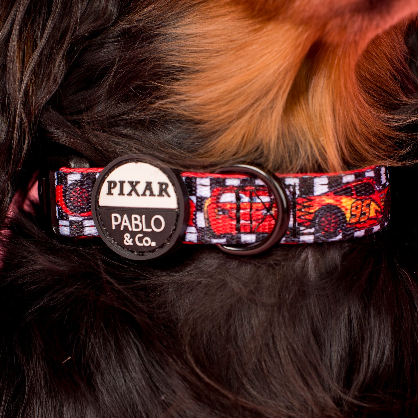 Cars: Dog Collar