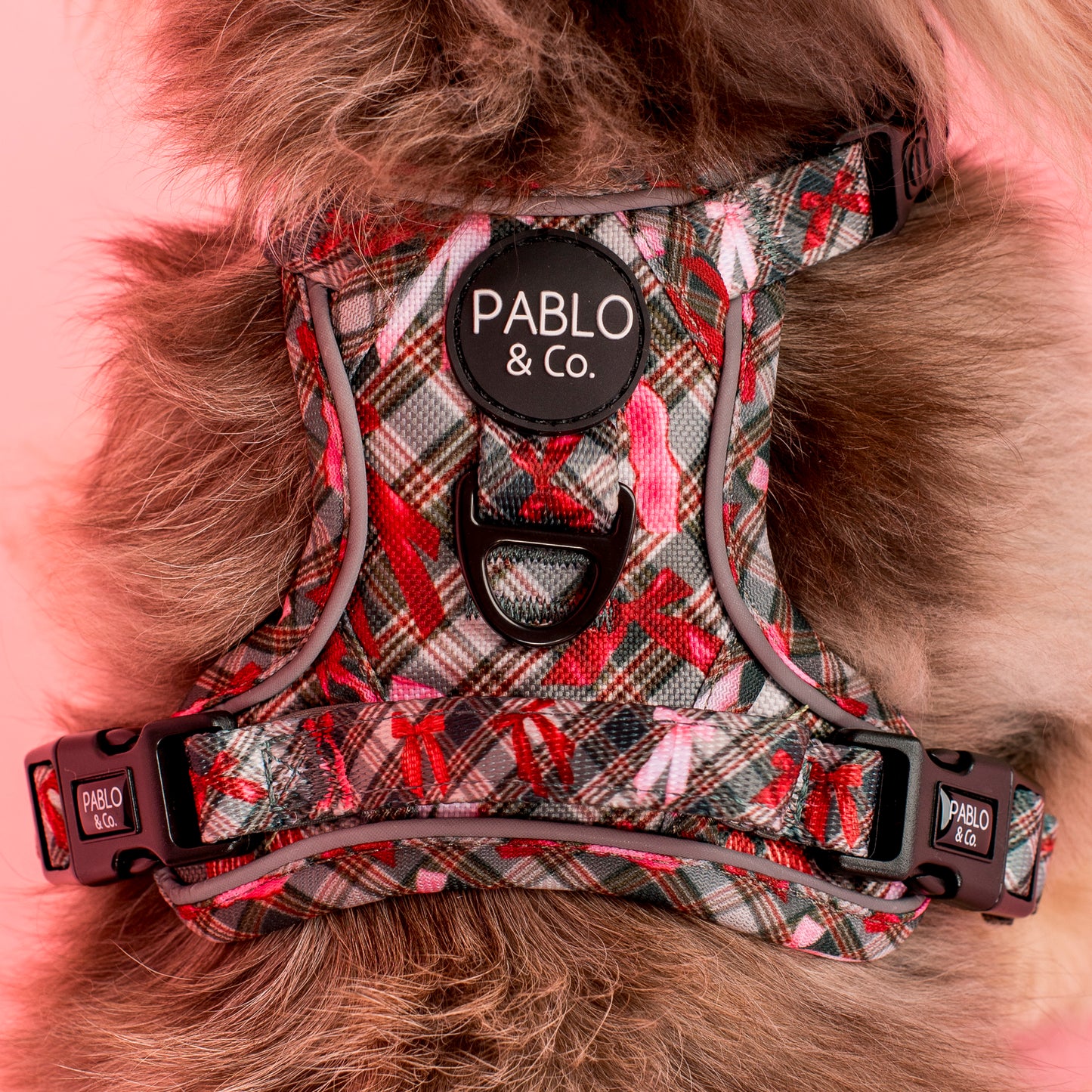 Wrapped in Ribbons: No Pull Adventure Harness