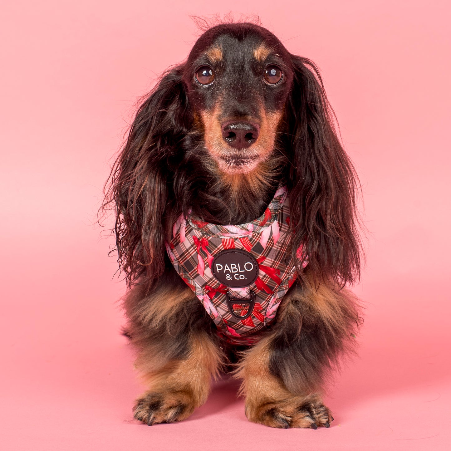 Wrapped in Ribbons: Adjustable Harness