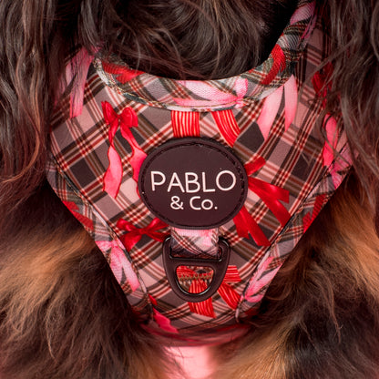 Wrapped in Ribbons: Adjustable Harness