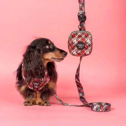 Wrapped in Ribbons: Dog Leash