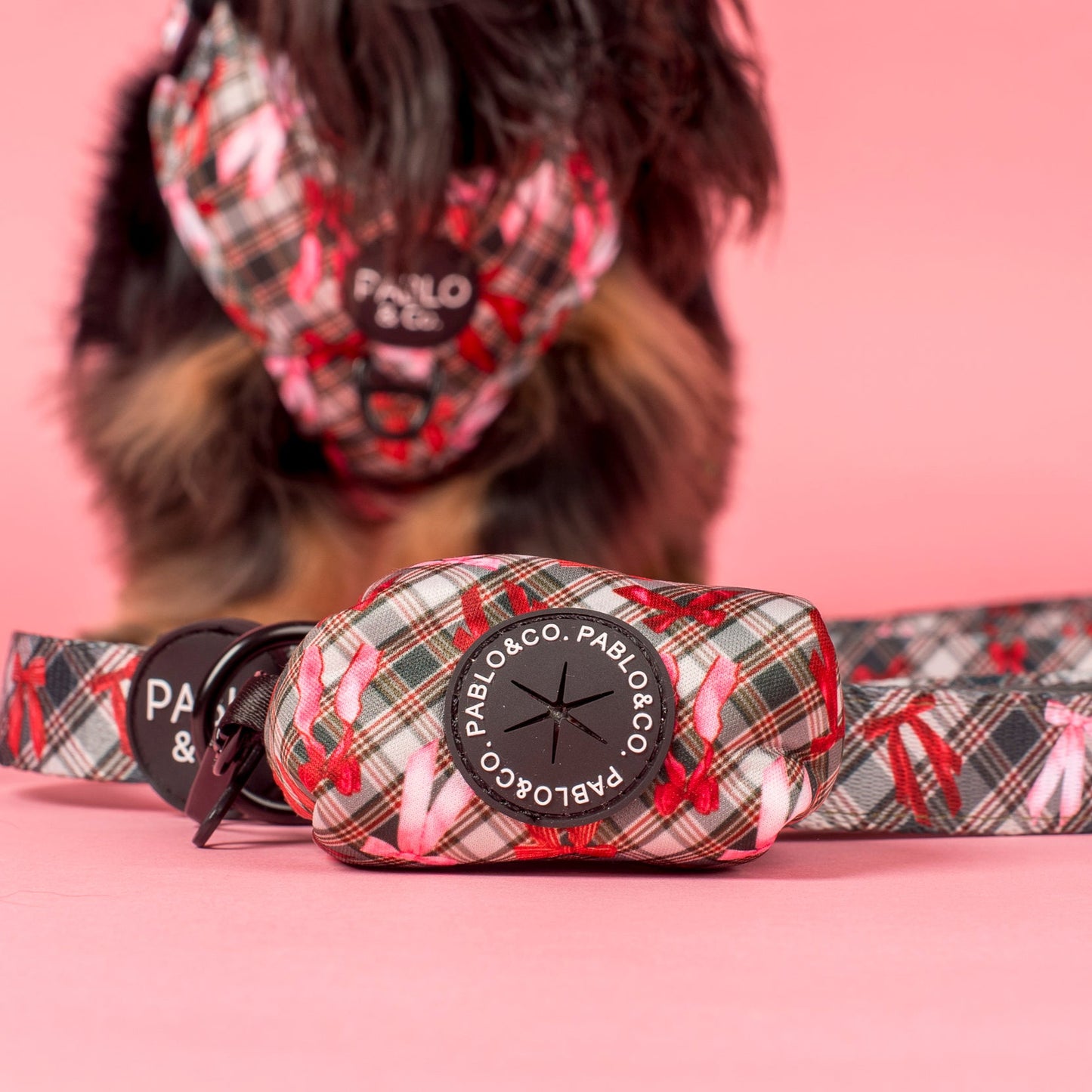 Wrapped in Ribbons: Poop Bag Holder