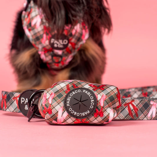 Wrapped in Ribbons: Poop Bag Holder