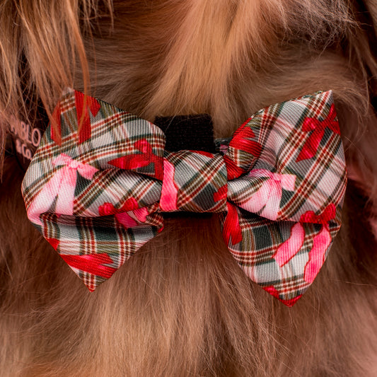 Wrapped in Ribbons: Bow Tie