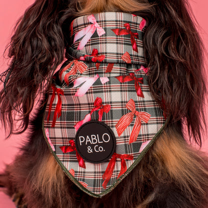 Wrapped in Ribbons: Dog Bandana
