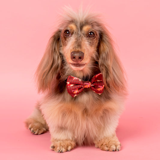 Merry Little Dachshunds: Bow Tie