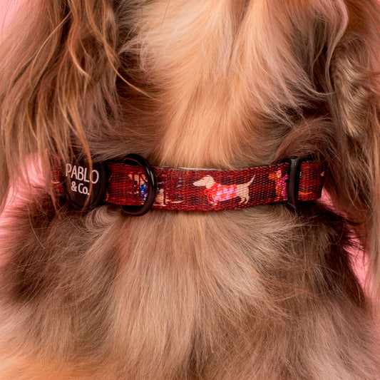 Merry Little Dachshunds: Collar