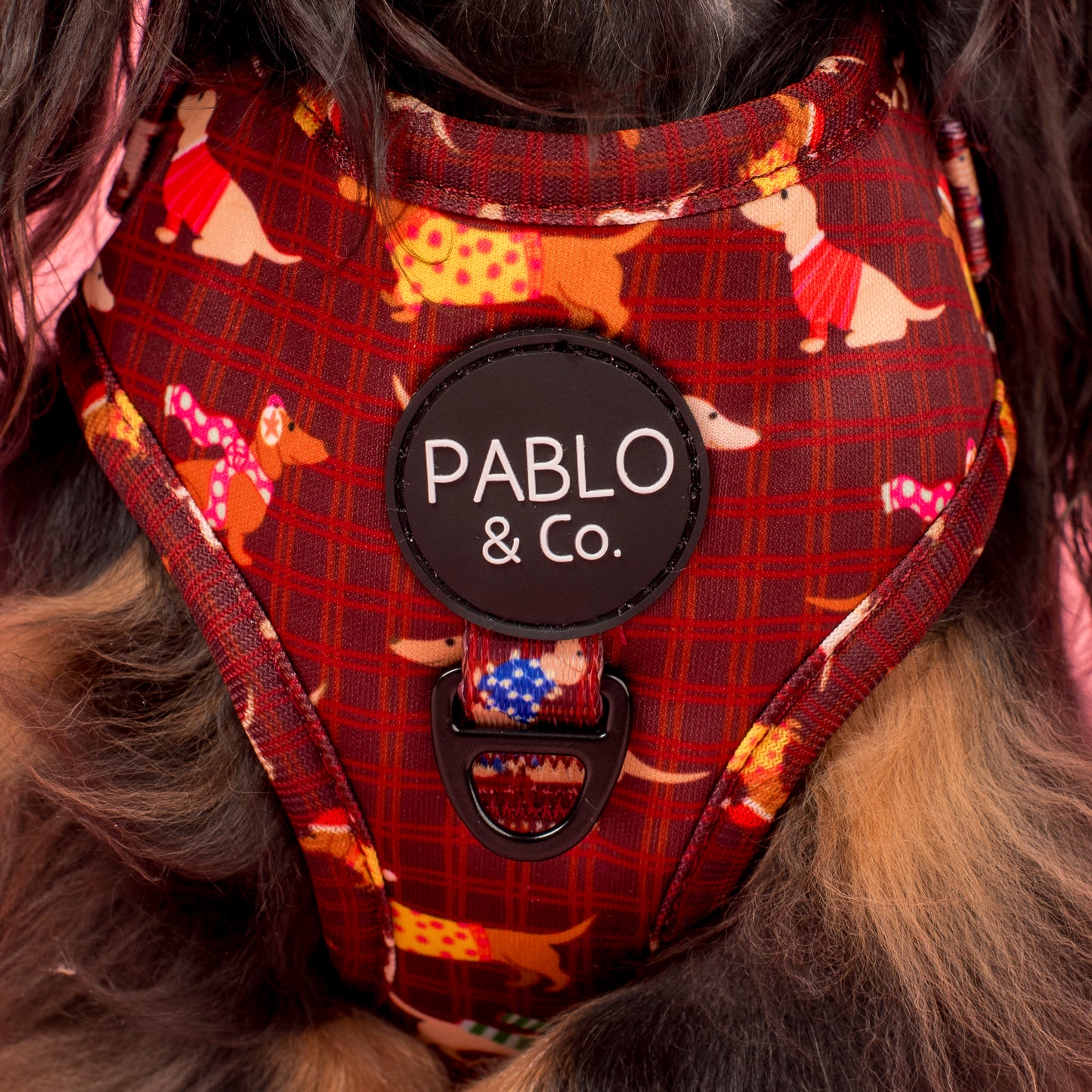 Merry Little Dachshunds: Adjustable Harness