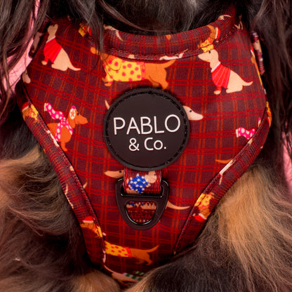 Merry Little Dachshunds: Adjustable Harness