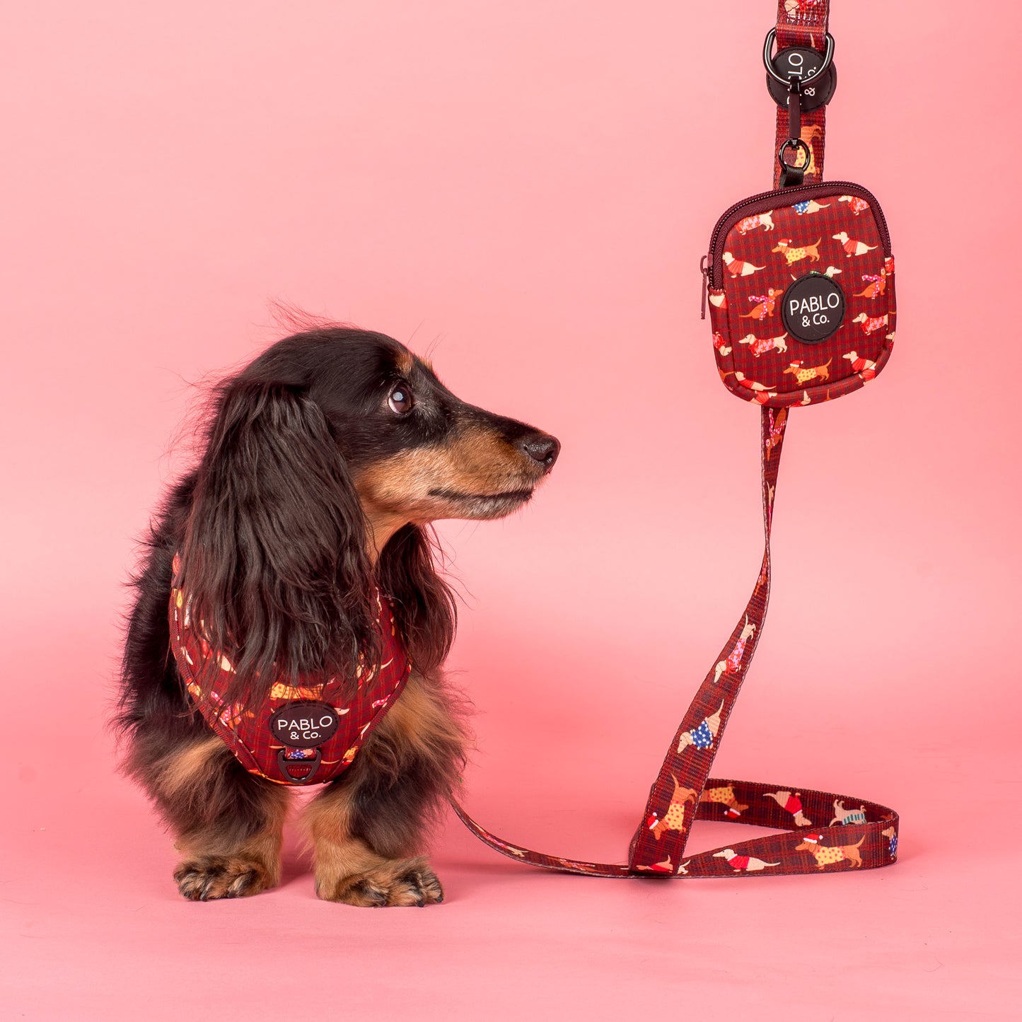 Merry Little Dachshunds: Treat Pouch