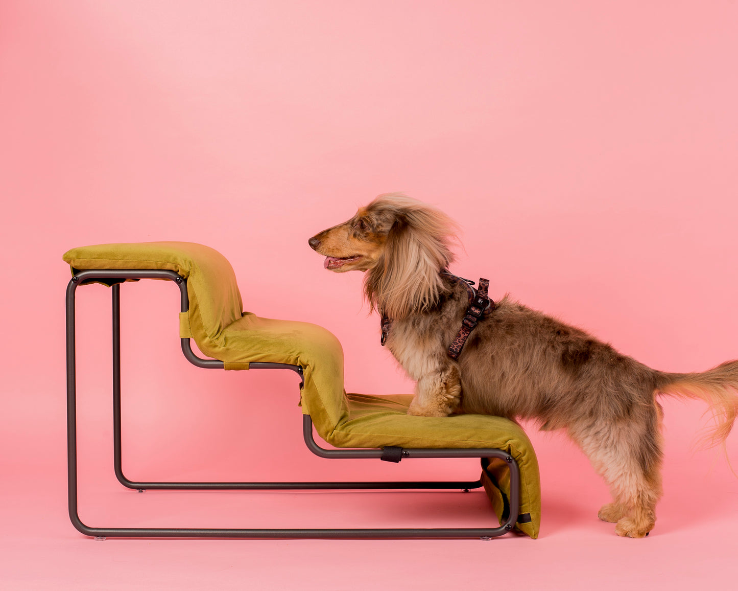 Pet Stairs for Cats & Dogs - Pistachio