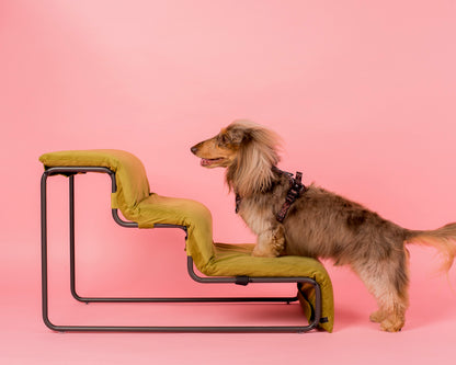 Pet Stairs for Cats & Dogs - Pistachio