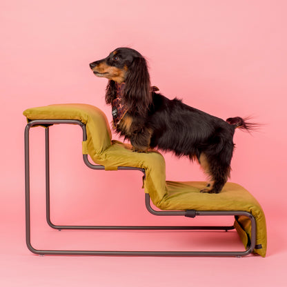 Pet Stairs for Cats & Dogs - Pistachio