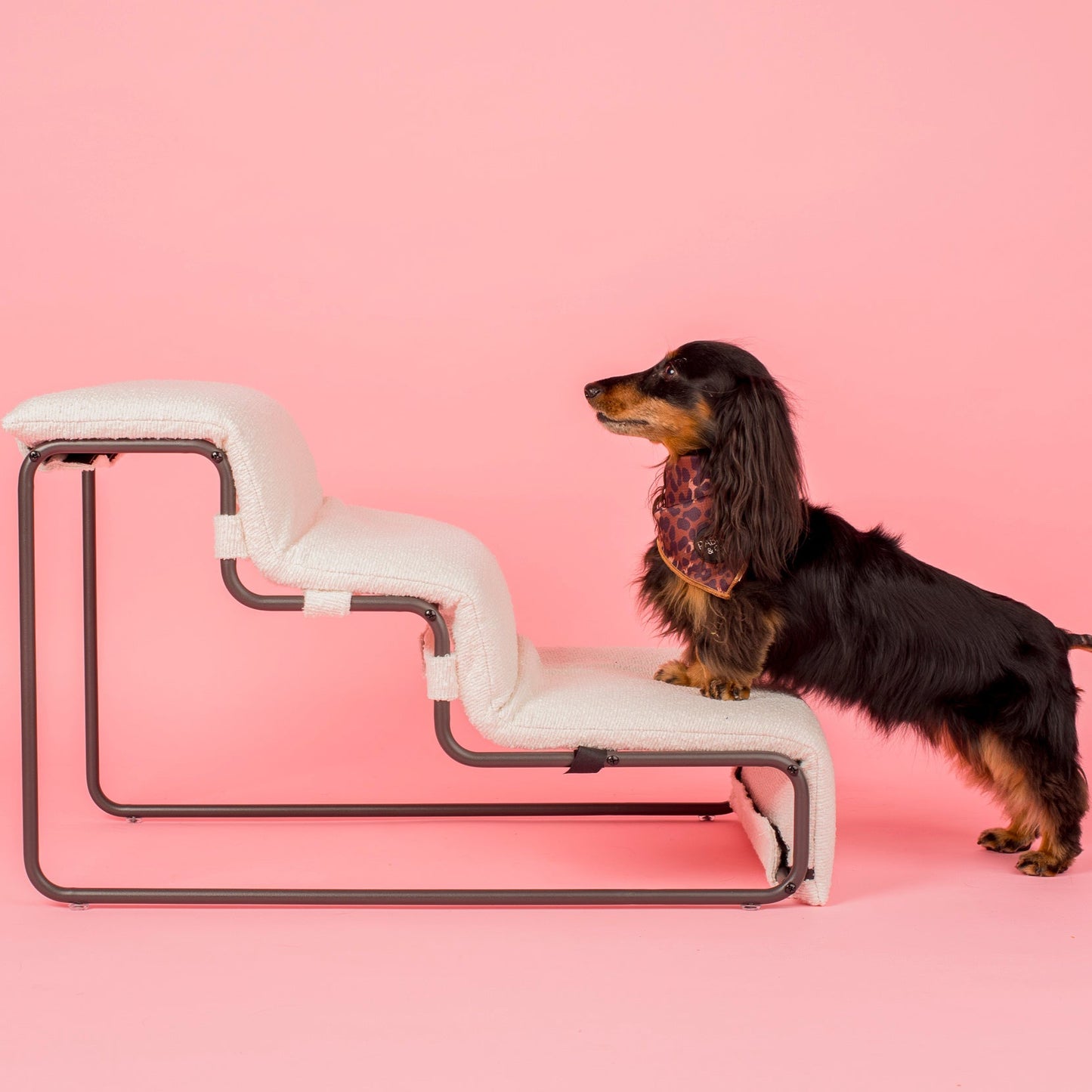 Pet Stairs for Cats & Dogs - White Boucle