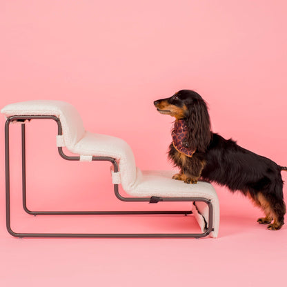 Pet Stairs for Cats & Dogs - White Boucle