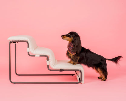 Pet Stairs for Cats & Dogs - White Boucle