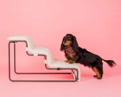 Pet Stairs for Cats & Dogs - White Boucle