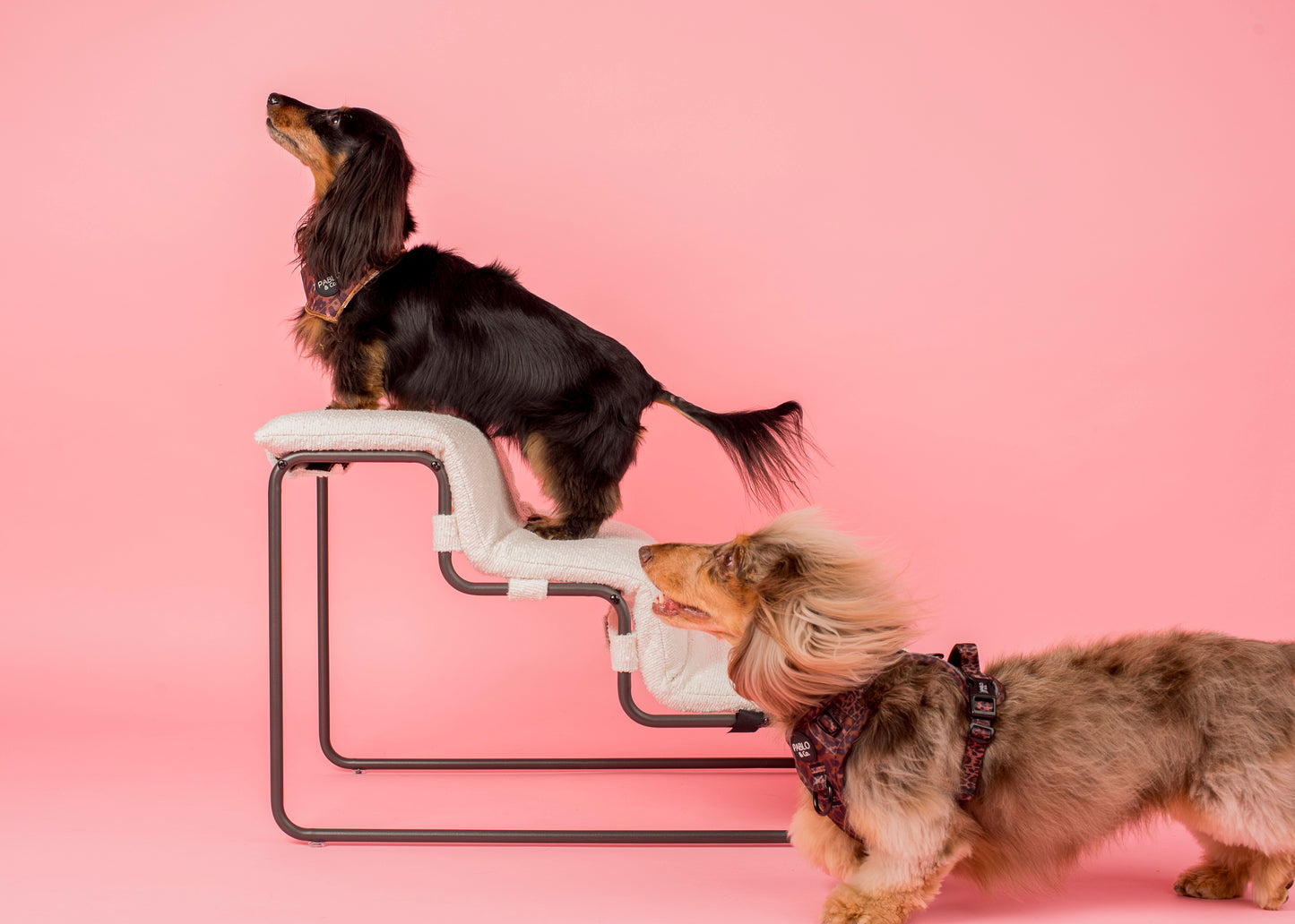 Pet Stairs for Cats & Dogs - White Boucle