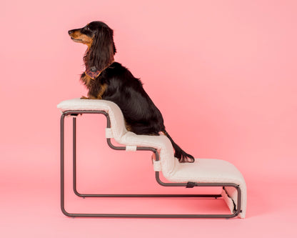 Pet Stairs for Cats & Dogs - White Boucle