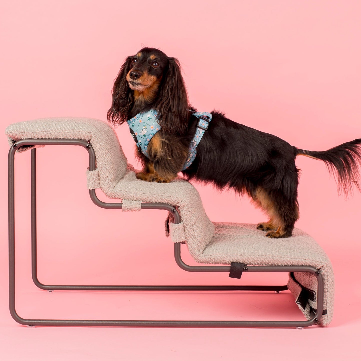 Pet Stairs for Cats & Dogs - Grey Boucle