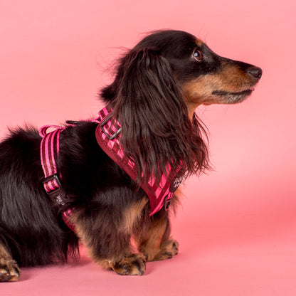 Blushing Stripes: Adjustable Harness