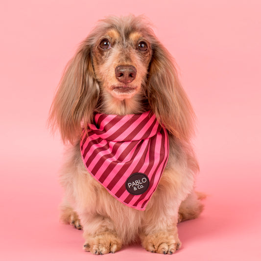 Blushing Stripes: Dog Bandana