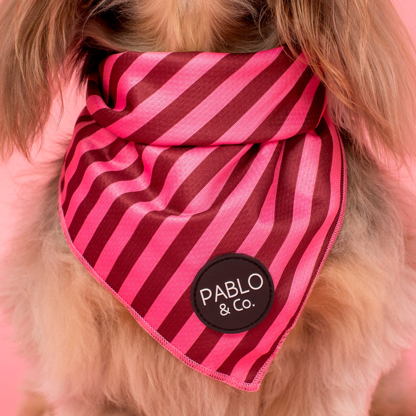 Blushing Stripes: Dog Bandana