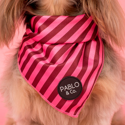 Blushing Stripes: Dog Bandana