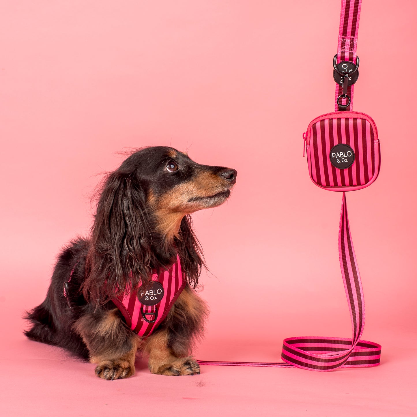 Blushing Stripes: Treat Pouch