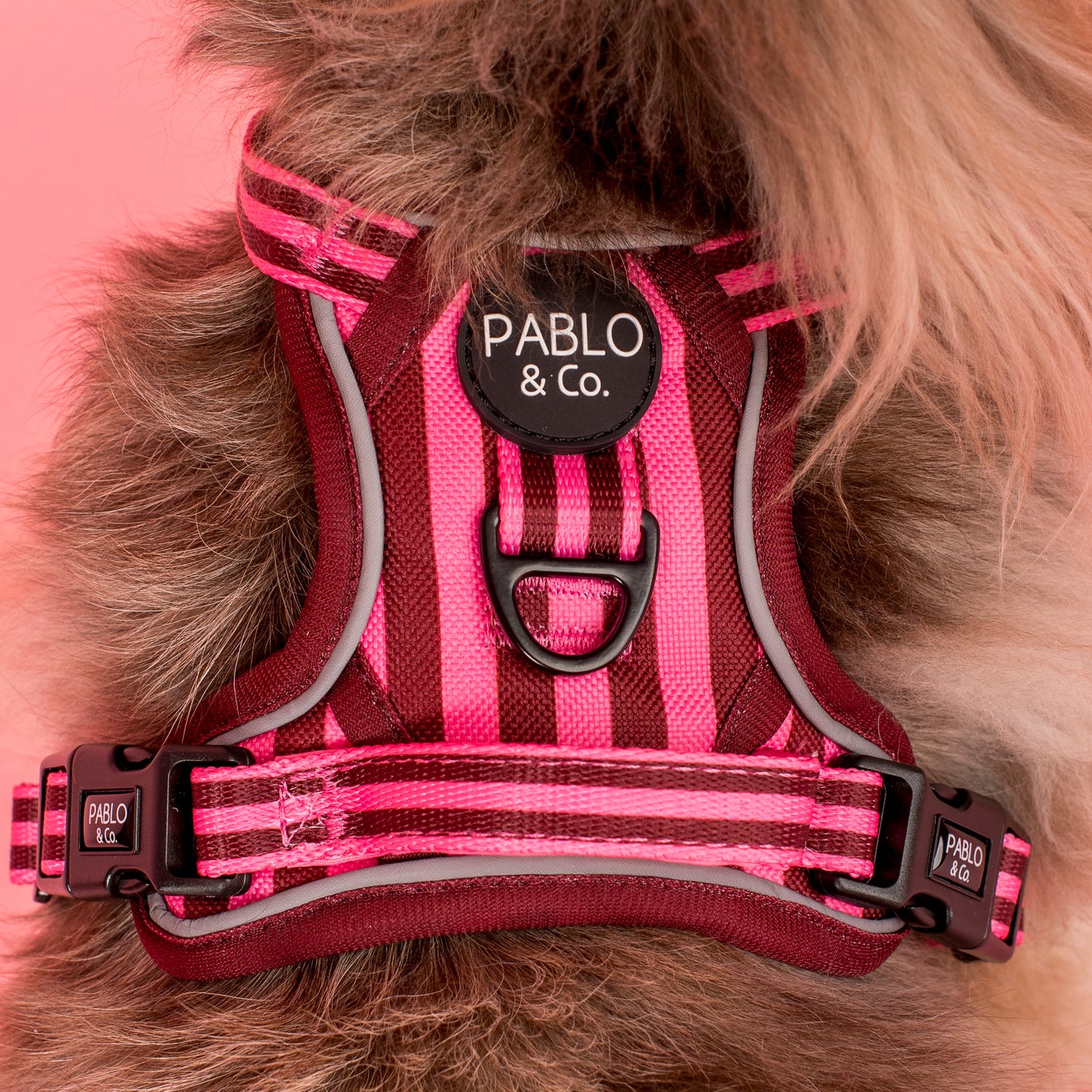 Blushing Stripes: No Pull Adventure Harness
