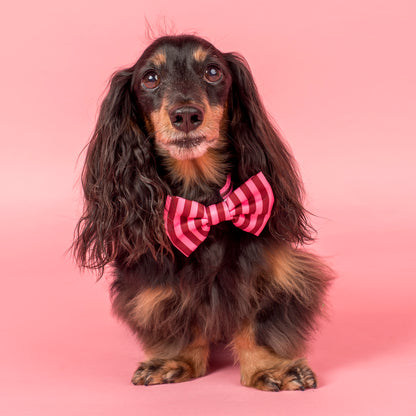 Blushing Stripes: Bow Tie