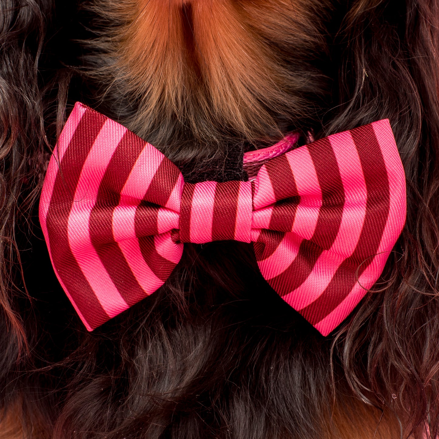 Blushing Stripes: Bow Tie