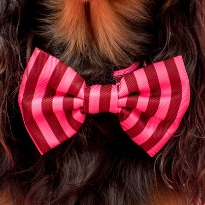 Blushing Stripes: Bow Tie