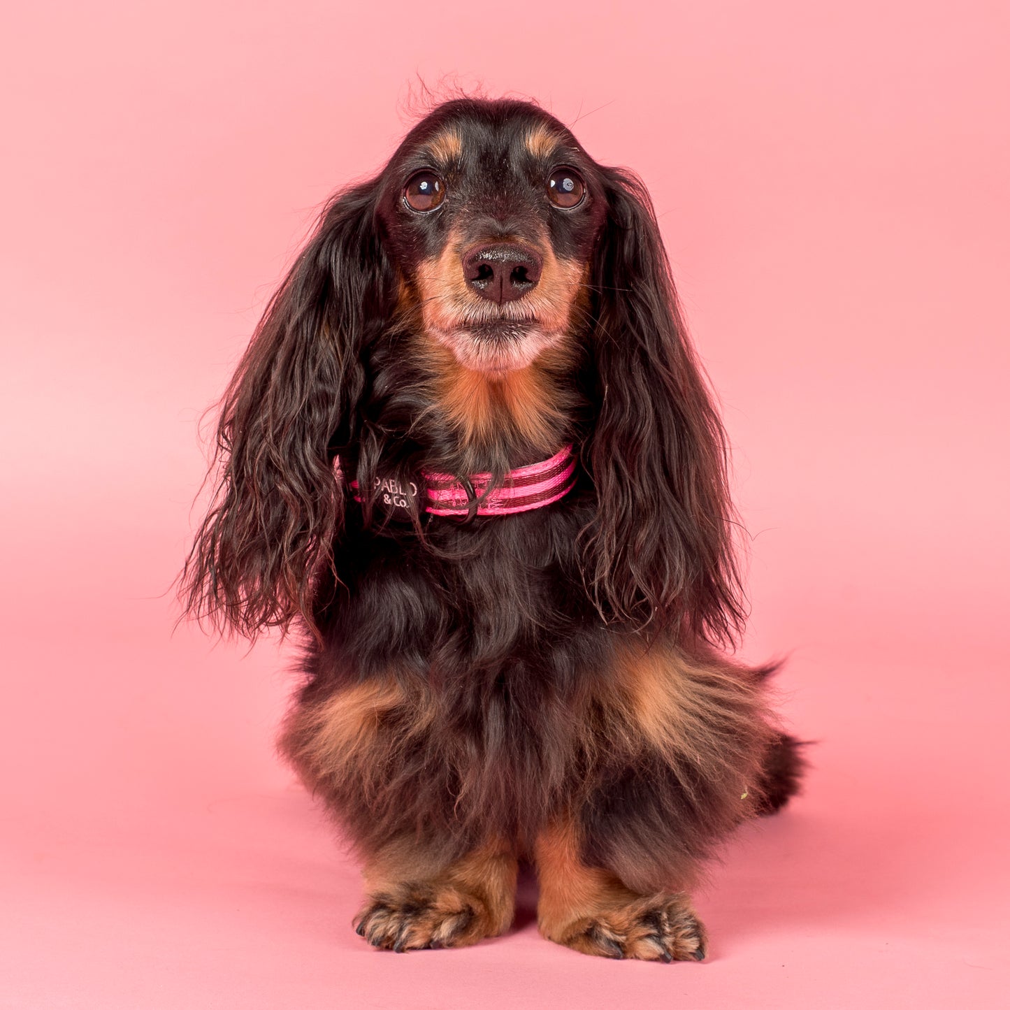 Blushing Stripes: Collar