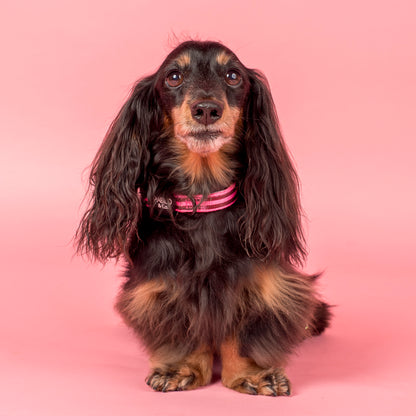 Blushing Stripes: Collar