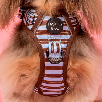 Sunday Stripes: No Pull Adventure Harness