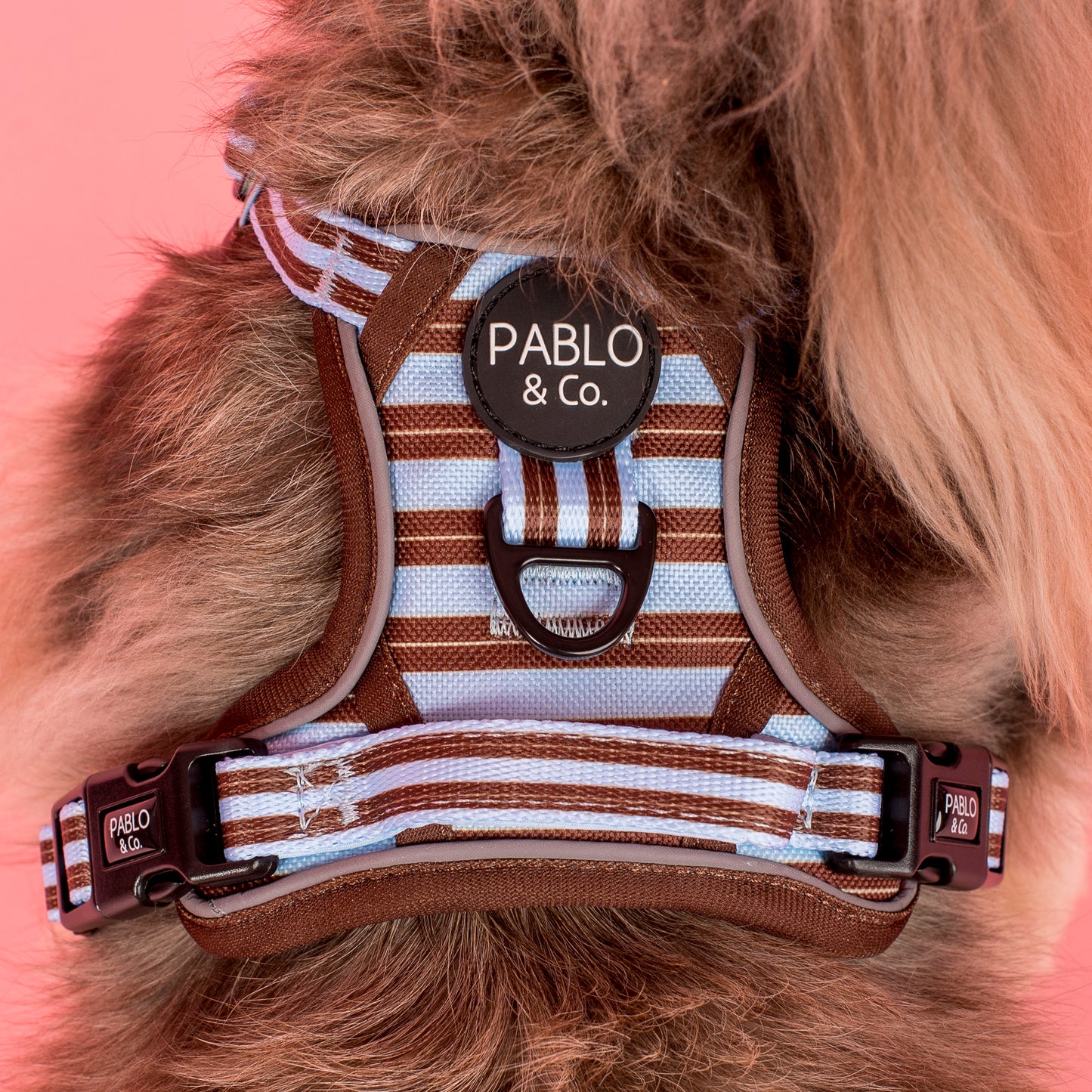 Sunday Stripes: No Pull Adventure Harness