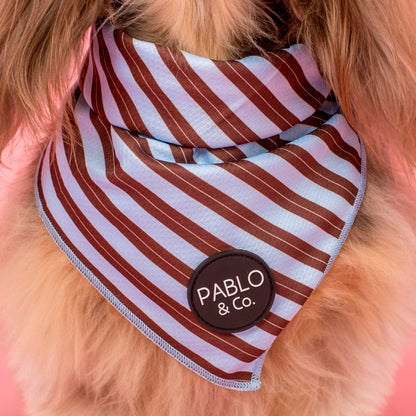 Sunday Stripes: Dog Bandana