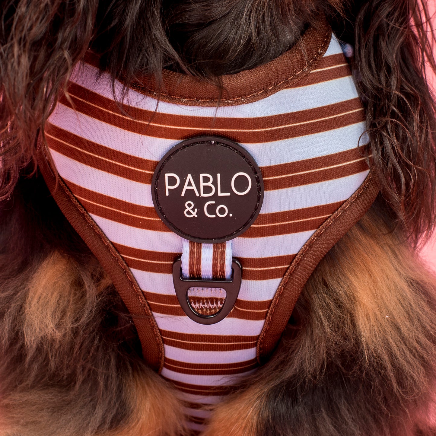 Sunday Stripes: Adjustable Harness