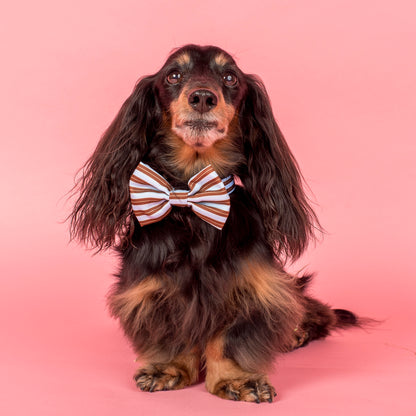 Sunday Stripes: Bow Tie