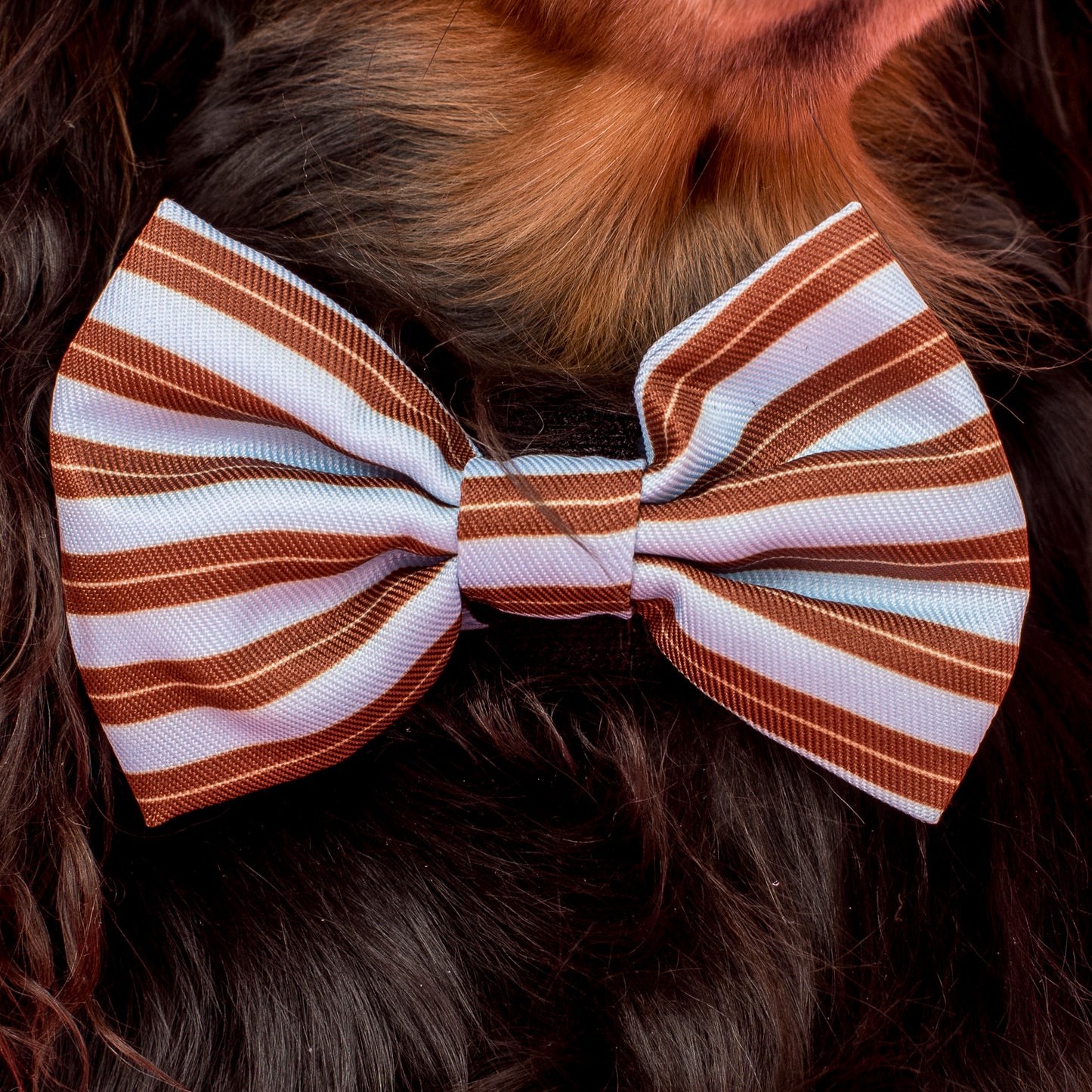 Sunday Stripes: Bow Tie