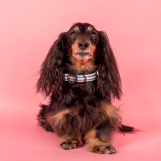 Sunday Stripes: Collar