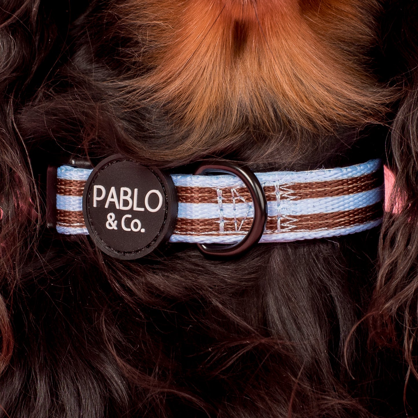 Sunday Stripes: Collar