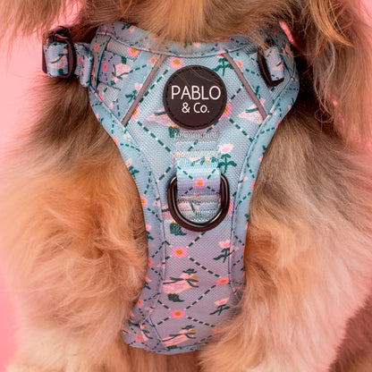 Silly Little Goose: No Pull Adventure Harness