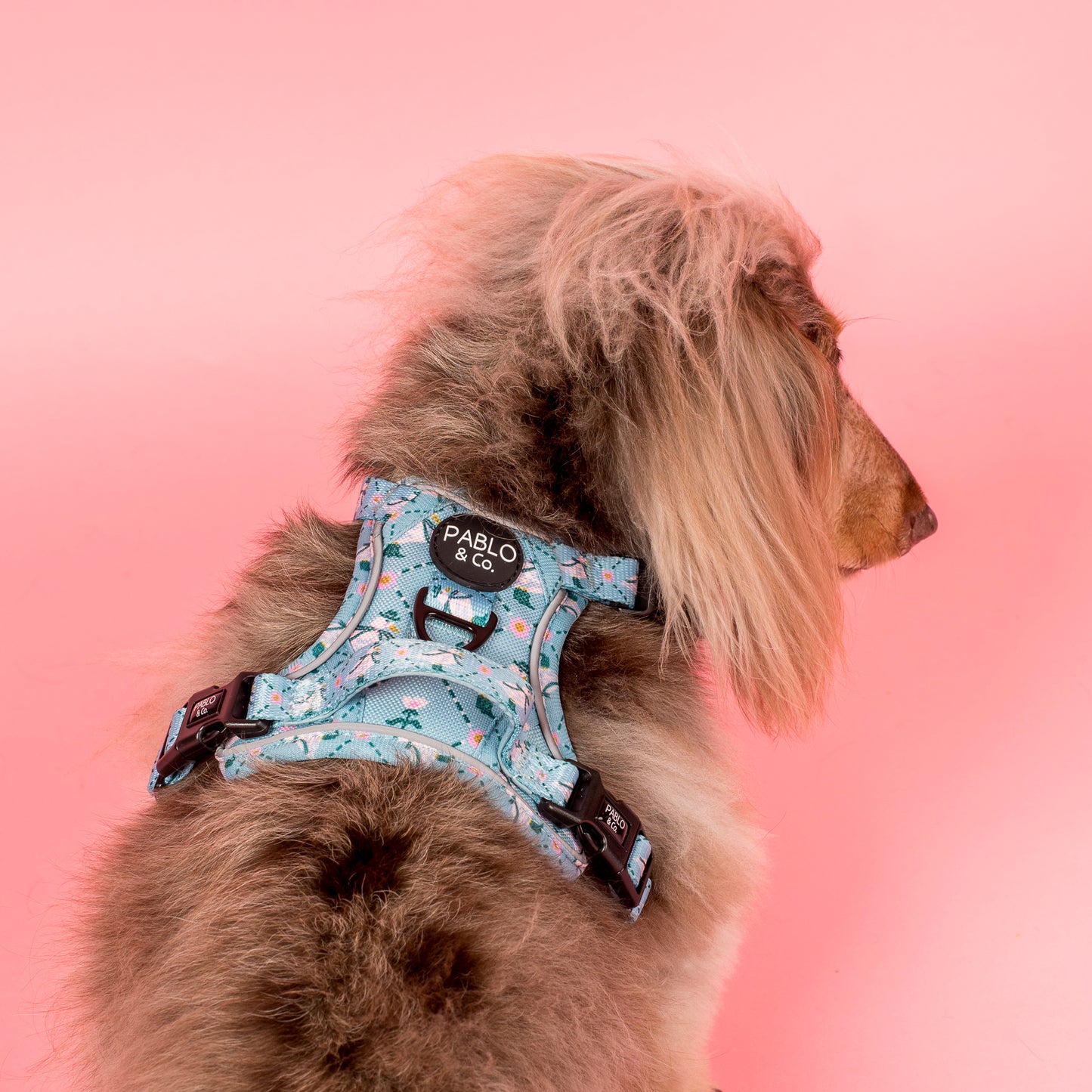 Silly Little Goose: No Pull Adventure Harness